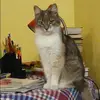 Отзыв от Татьяна Никольская